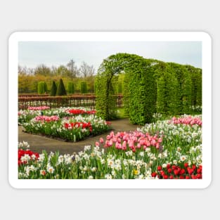 Keukenhof Tulip Festival, Holland Sticker